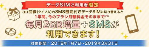 BIGLOBEモバイル　タイプA切り替えキャンペーン